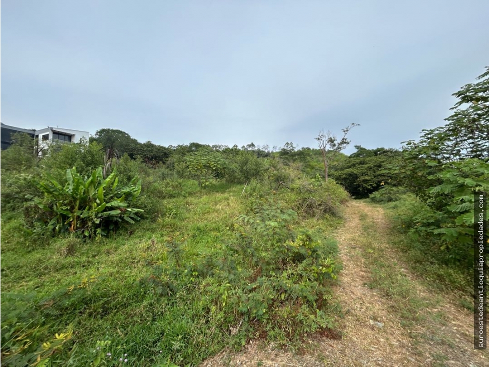 Venta de lote en Venecia suroeste de Antioquia