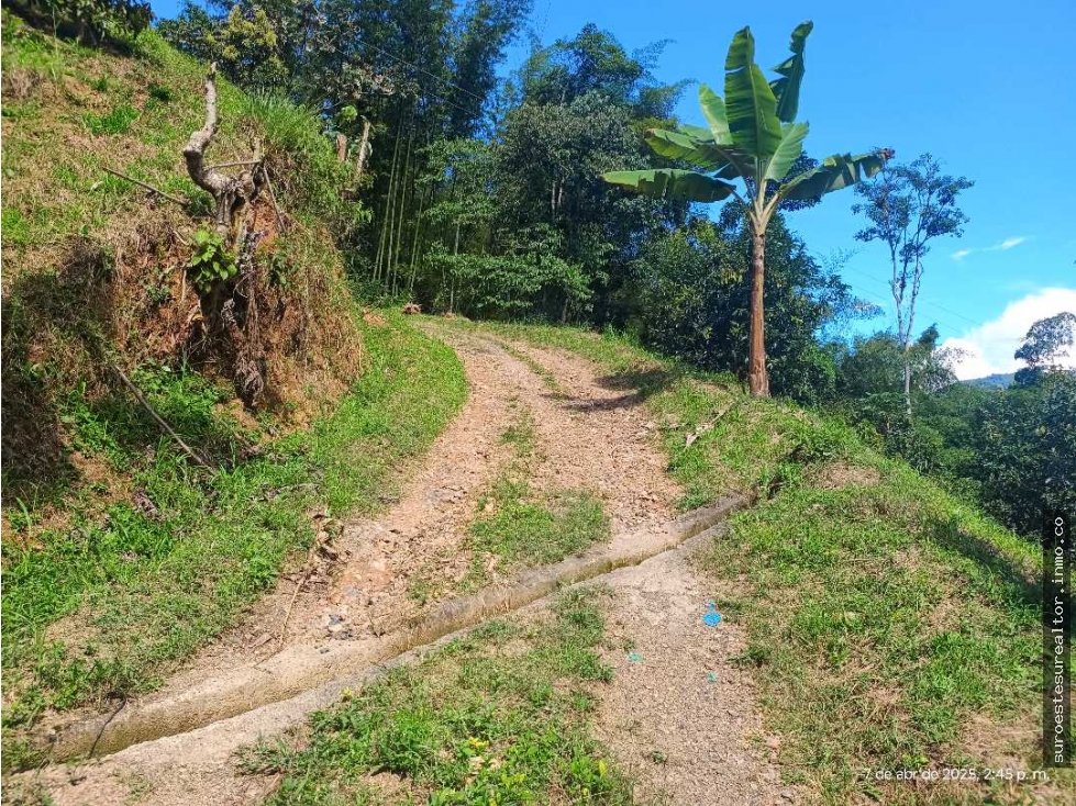 VENTA FINCA BETANIA SUROESTE ANTIOQUEÑO