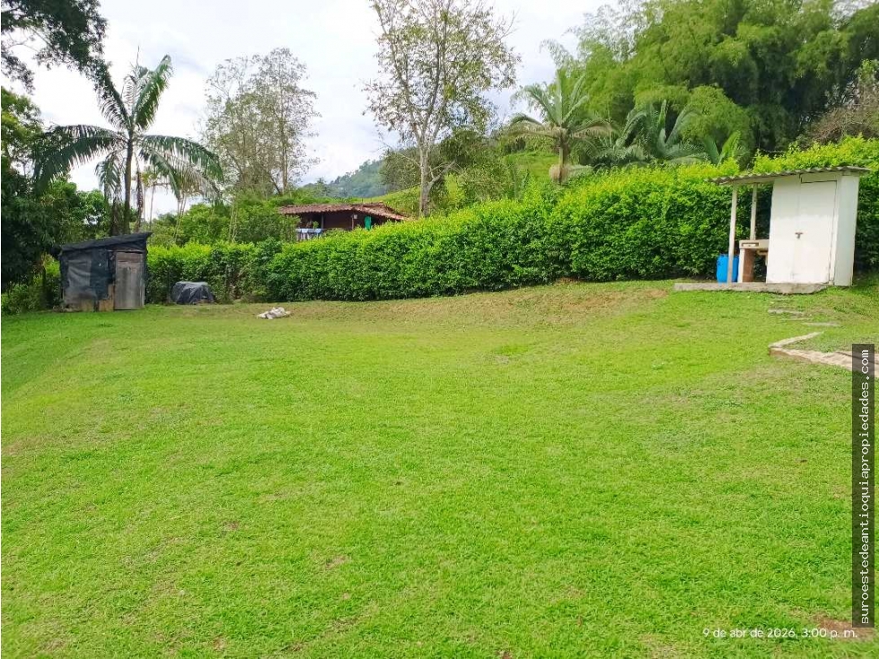 VENTA LOTE AMAGA SUROESTE ANTIOQUEÑO