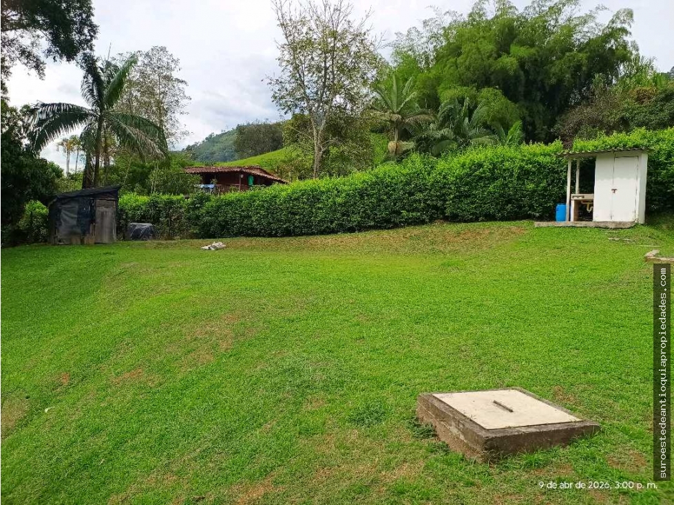 VENTA LOTE AMAGA SUROESTE ANTIOQUEÑO