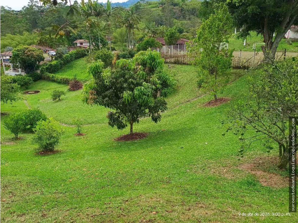 VENTA LOTE AMAGA SUROESTE ANTIOQUEÑO