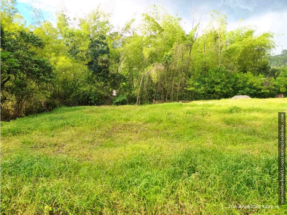 VENTA LOTE AMAGA SUROESTE ANTIOQUEÑO