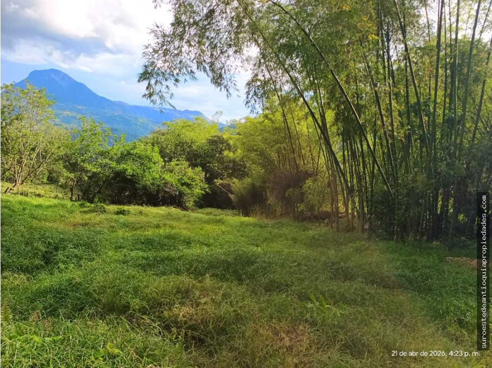 VENTA LOTE AMAGA SUROESTE ANTIOQUEÑO