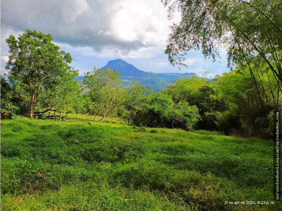 VENTA LOTE AMAGA SUROESTE ANTIOQUEÑO