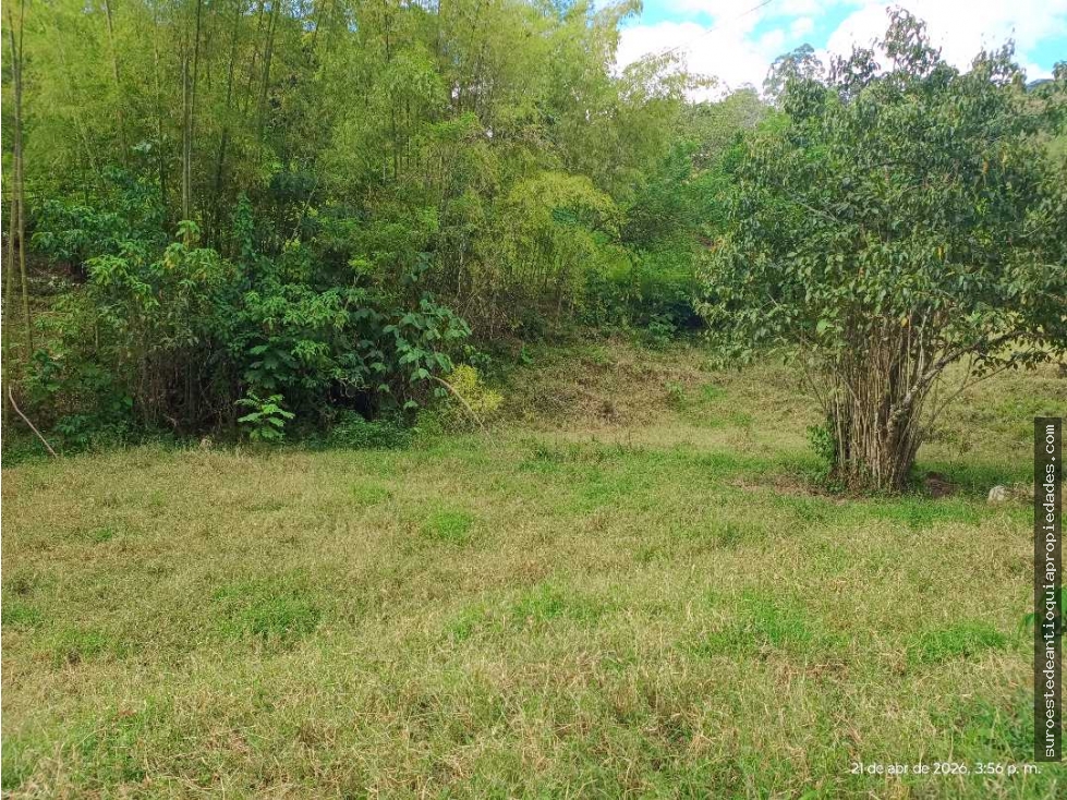 VENTA LOTE AMAGA SUROESTE ANTIOQUEÑO
