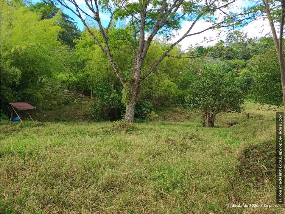 VENTA LOTE AMAGA SUROESTE ANTIOQUEÑO