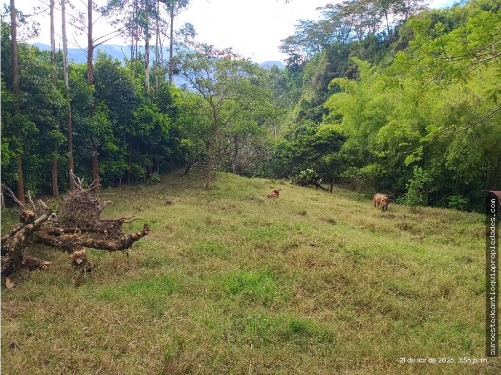 VENTA LOTE AMAGA SUROESTE ANTIOQUEÑO