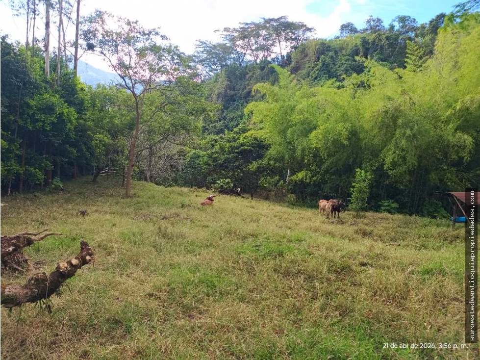 VENTA LOTE AMAGA SUROESTE ANTIOQUEÑO