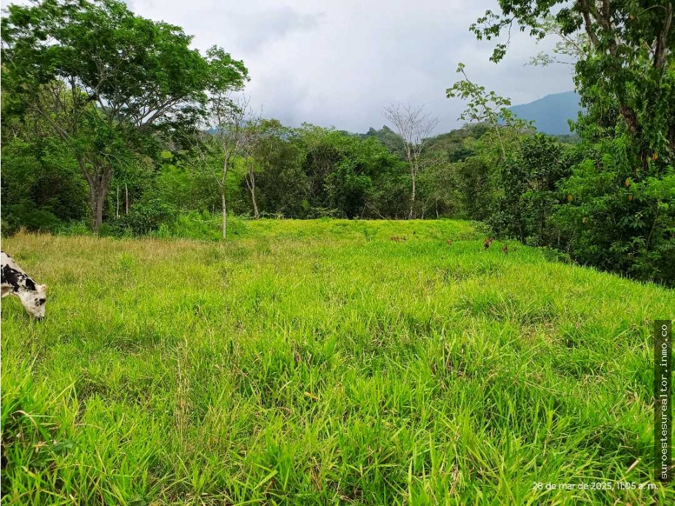 VENTA LOTE SIRIA SUROESTE ANTIOQUEÑO