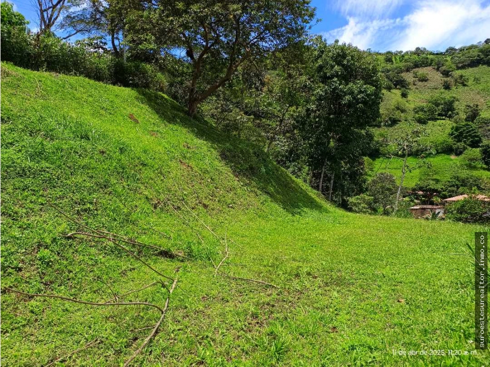 VENTA LOTE TITIRIBI SUROESTE ANTIOQUEÑO