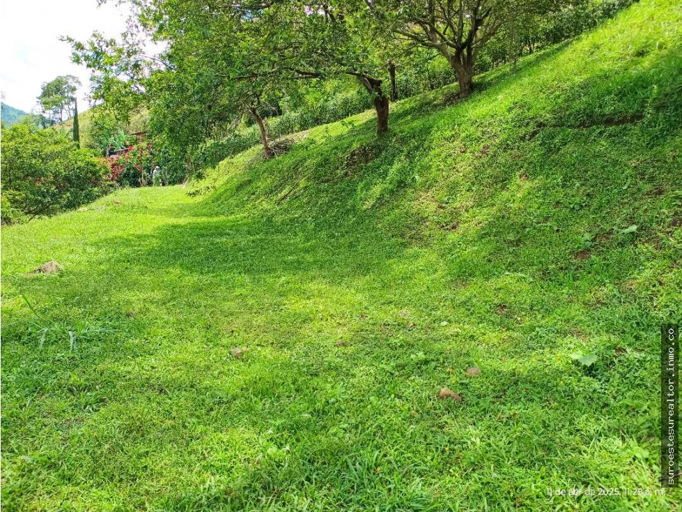 VENTA LOTE TITIRIBI SUROESTE ANTIOQUEÑO