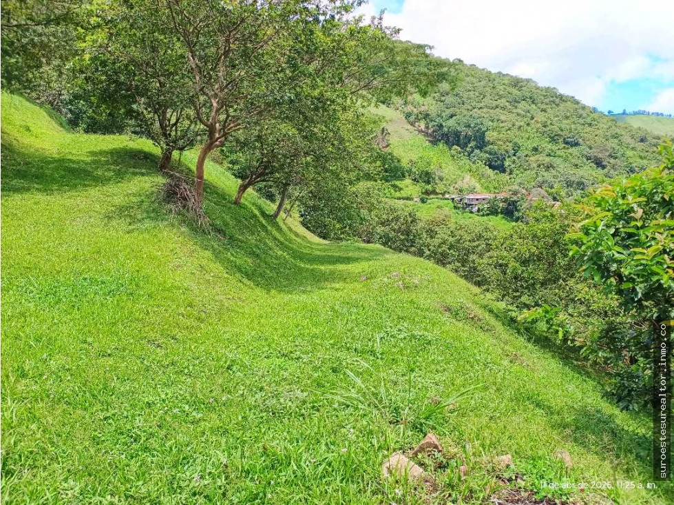 VENTA LOTE TITIRIBI SUROESTE ANTIOQUEÑO