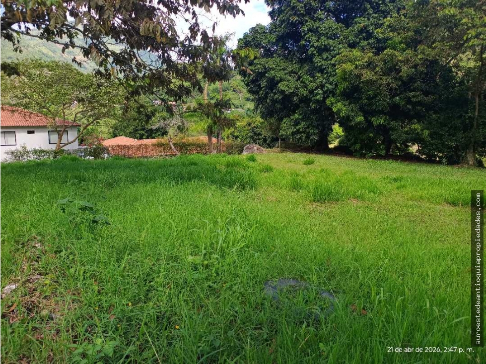 VENTA LOTE TITIRIBI SUROESTE ANTIOQUEÑO