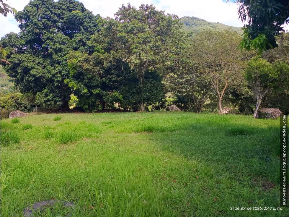 VENTA LOTE TITIRIBI SUROESTE ANTIOQUEÑO