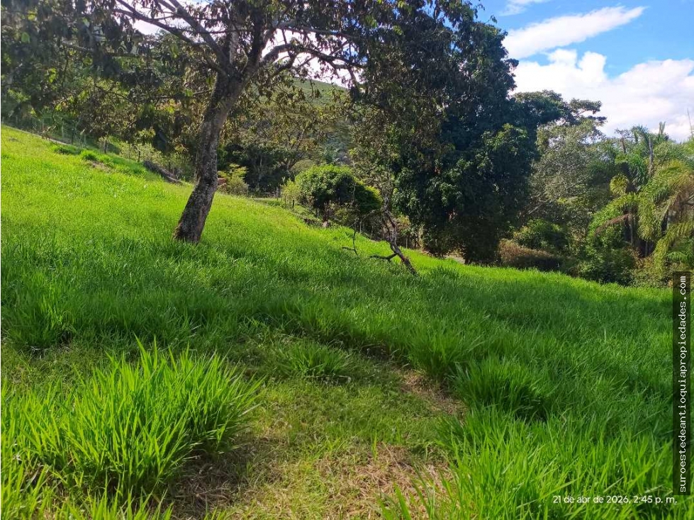 VENTA LOTE TITIRIBI SUROESTE ANTIOQUEÑO