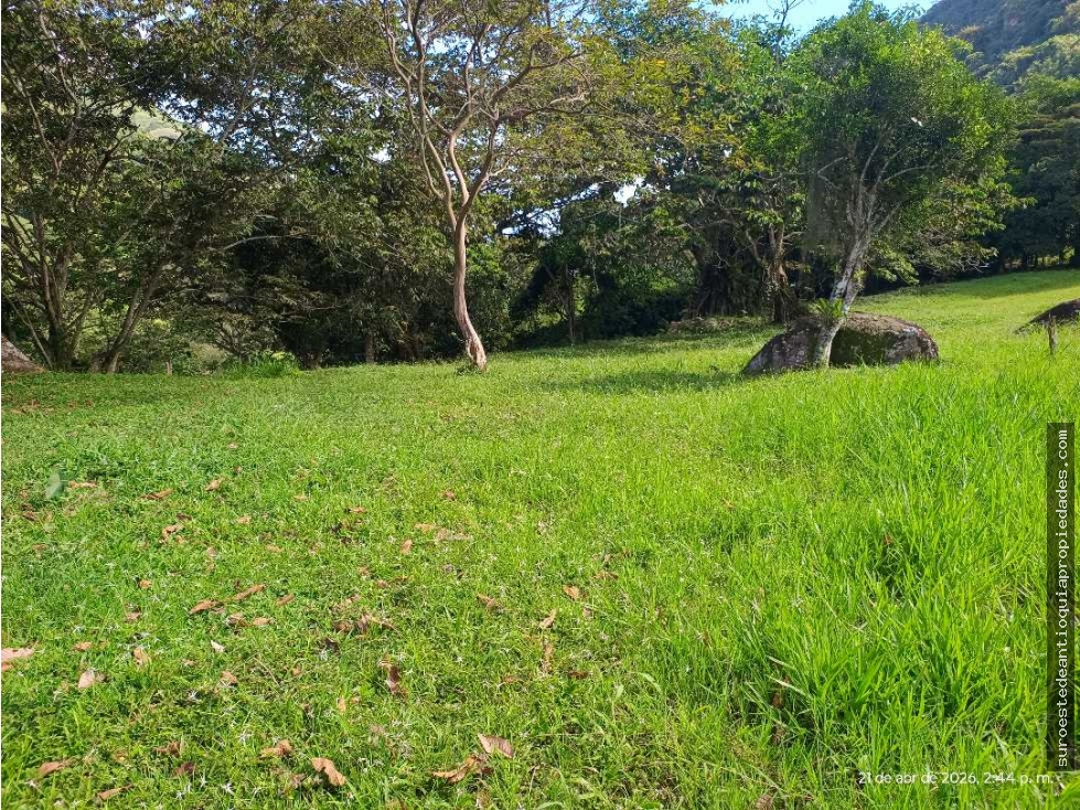 VENTA LOTE TITIRIBI SUROESTE ANTIOQUEÑO