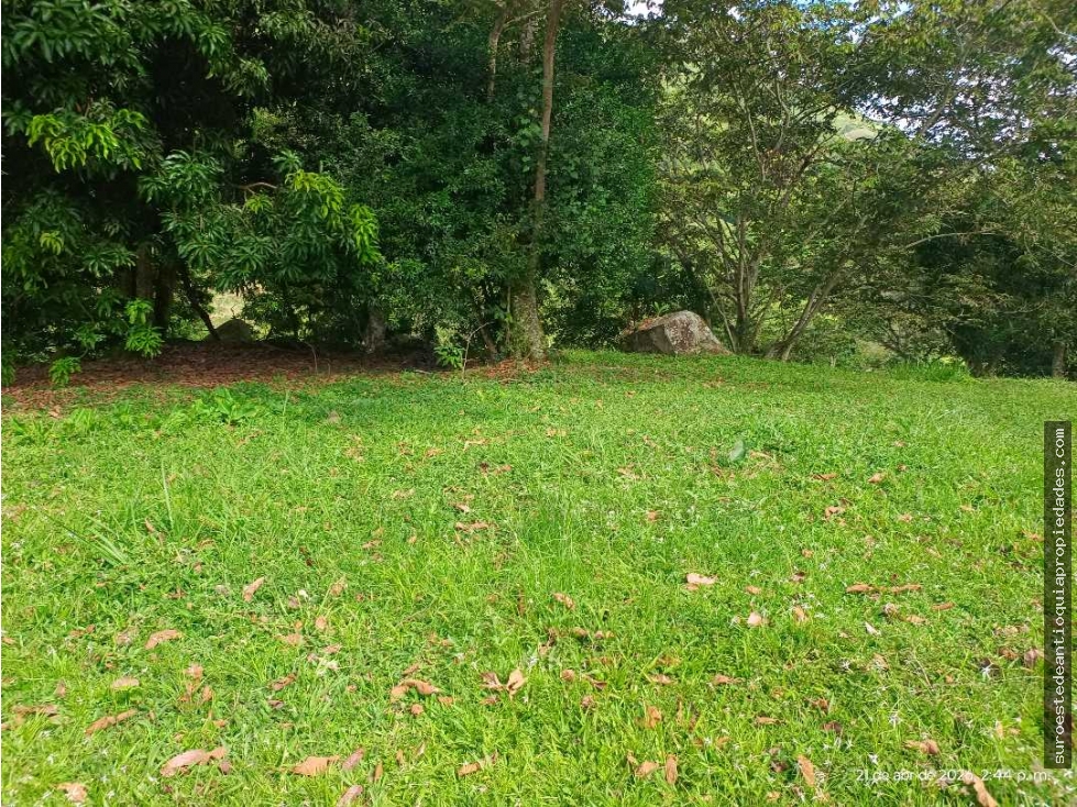 VENTA LOTE TITIRIBI SUROESTE ANTIOQUEÑO