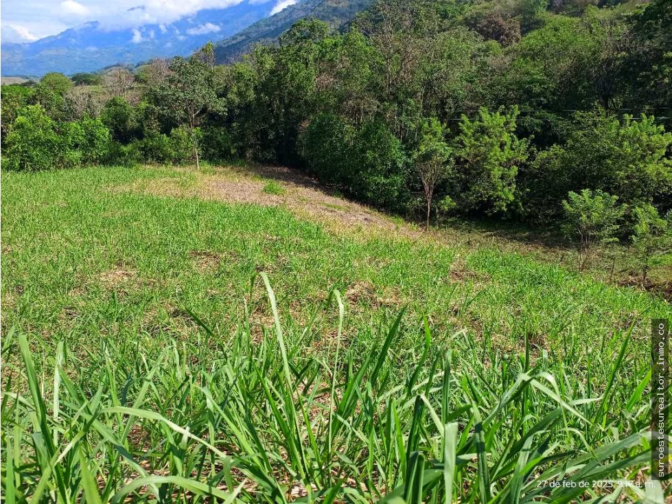 VENTA LOTE VENECIA SUROESTE ANTIOQUEÑO