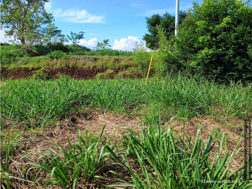 VENTA LOTE VENECIA SUROESTE ANTIOQUEÑO