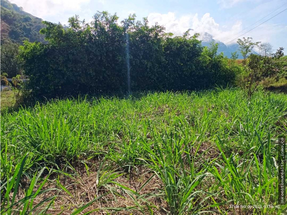 VENTA LOTE VENECIA SUROESTE ANTIOQUEÑO