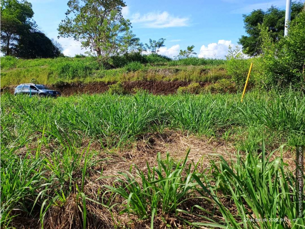 VENTA LOTE VENECIA SUROESTE ANTIOQUEÑO