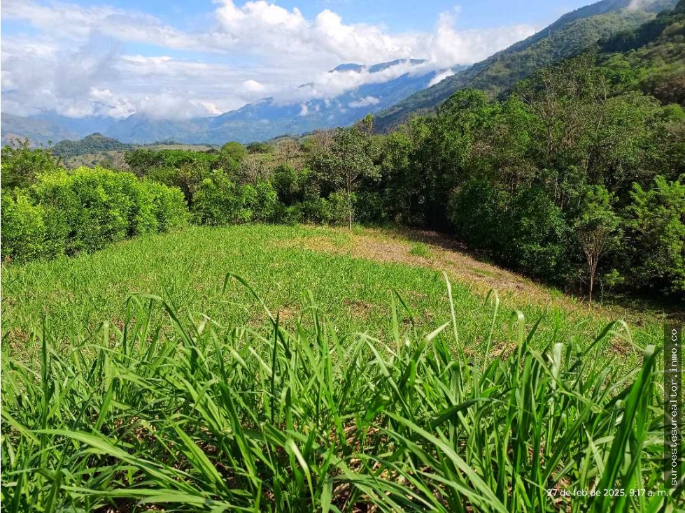 VENTA LOTE VENECIA SUROESTE ANTIOQUEÑO
