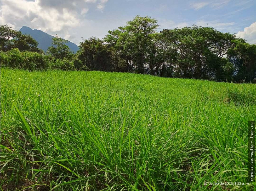 VENTA LOTE VENECIA SUROESTE ANTIOQUEÑO