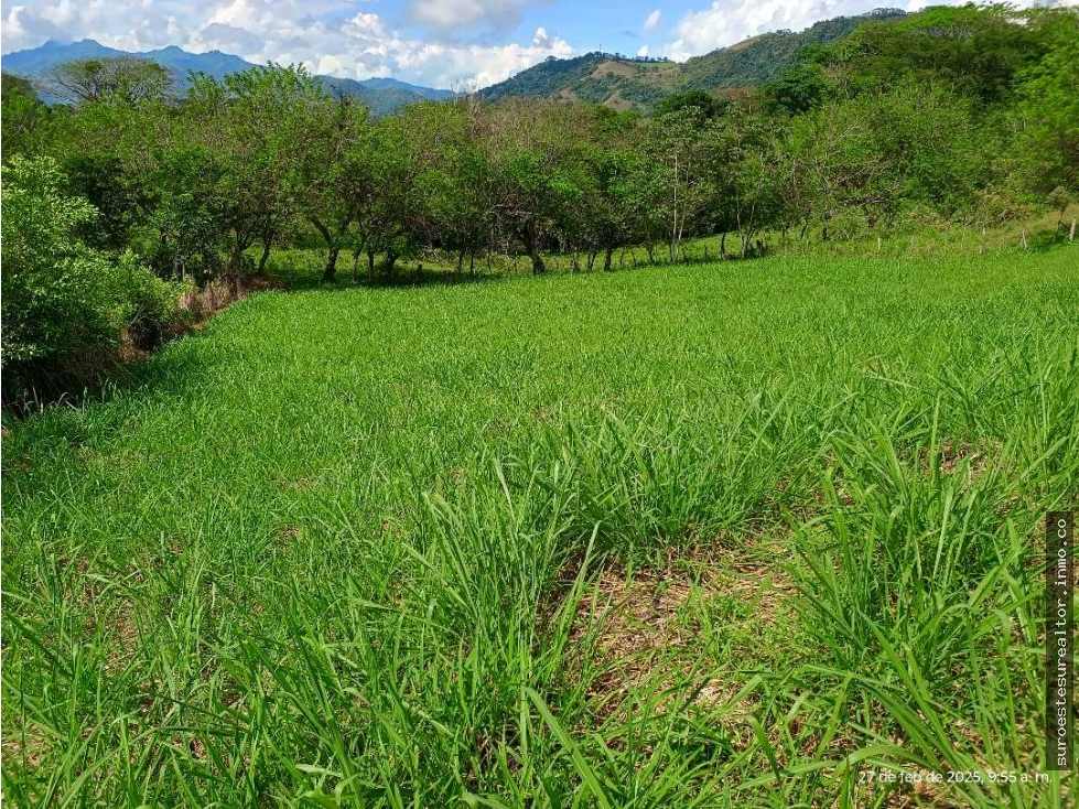 VENTA LOTE VENECIA SUROESTE ANTIOQUEÑO