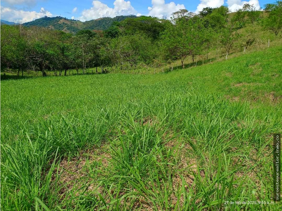 VENTA LOTE VENECIA SUROESTE ANTIOQUEÑO
