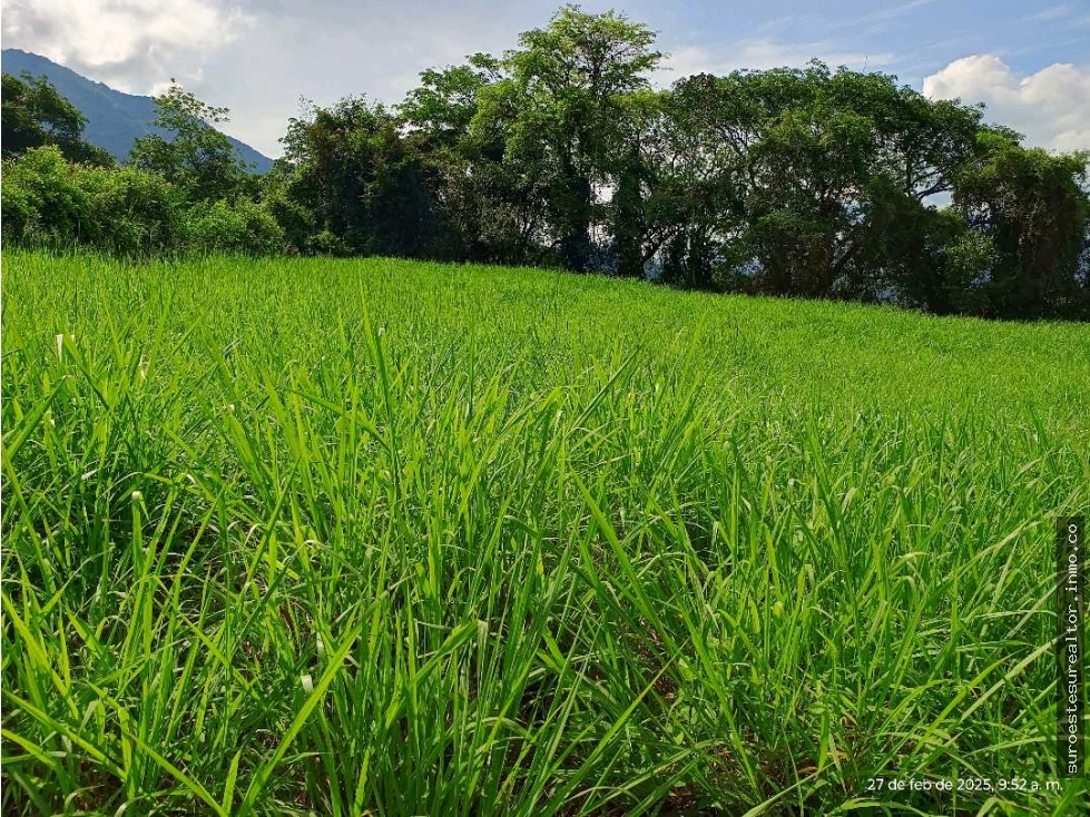 VENTA LOTE VENECIA SUROESTE ANTIOQUEÑO