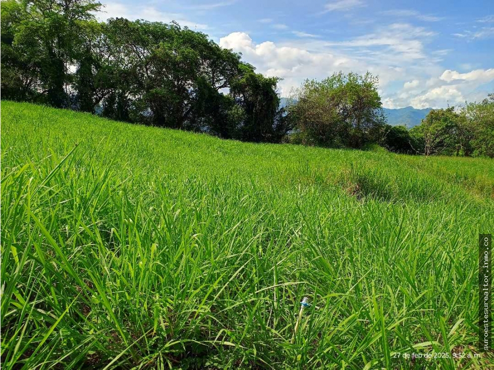 VENTA LOTE VENECIA SUROESTE ANTIOQUEÑO