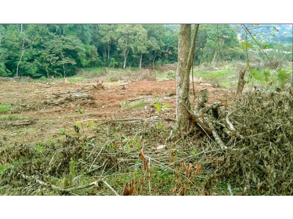 Se Vende Terreno Comercial de 40,242m2 en Via Transistmica — foto 3