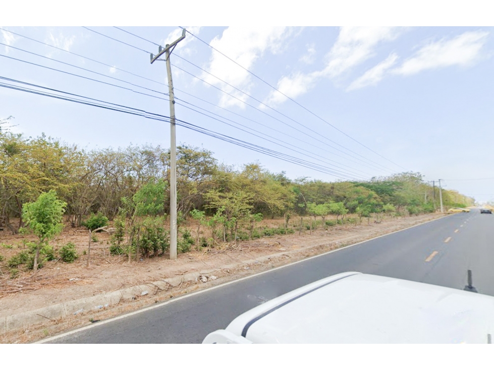 Se Vende Terreno de 62,000M2 en la Via a Playa Blanca - 4