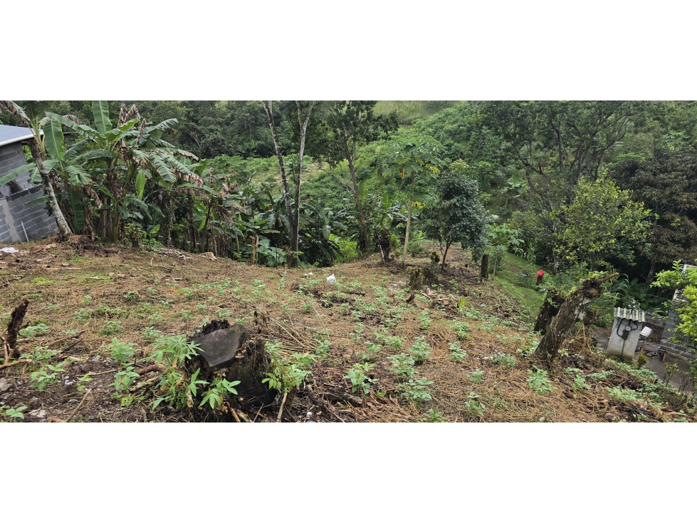 Se Vende Terreno de 63,883M2 en Panamá Norte para Proyecto Residencial