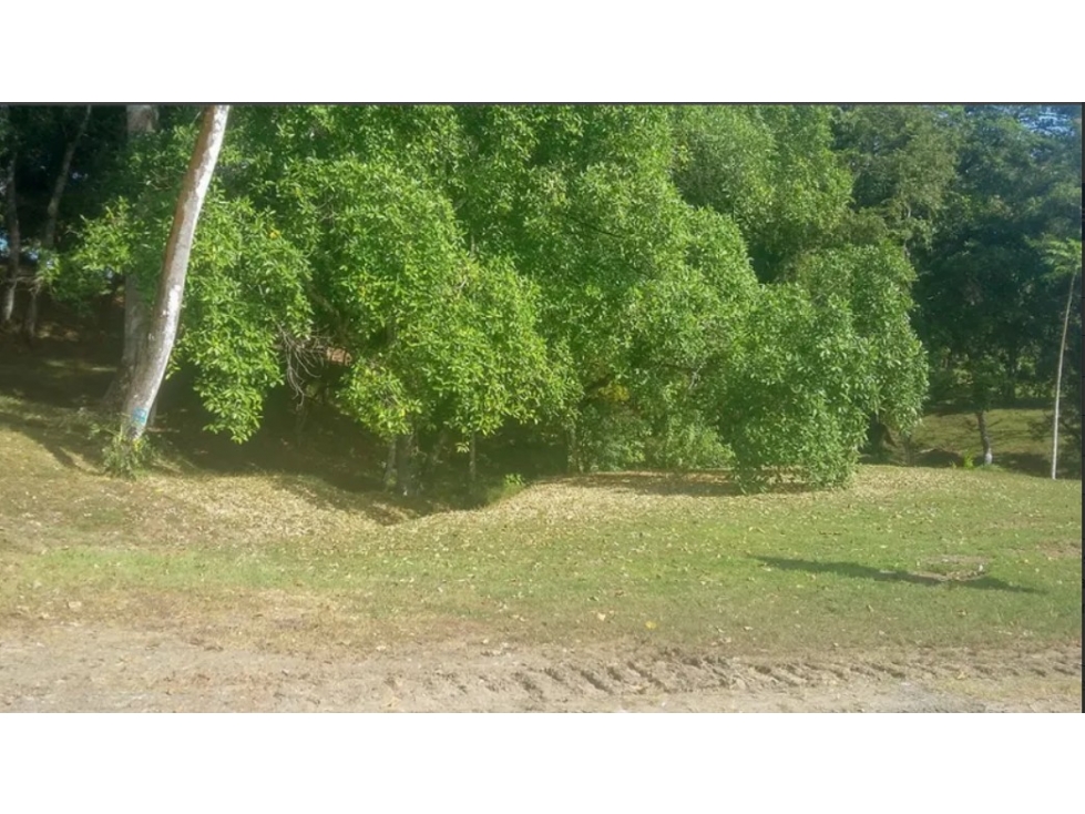 Se Vende Terreno Comercial de 40,242m2 en Via Transistmica — foto 4