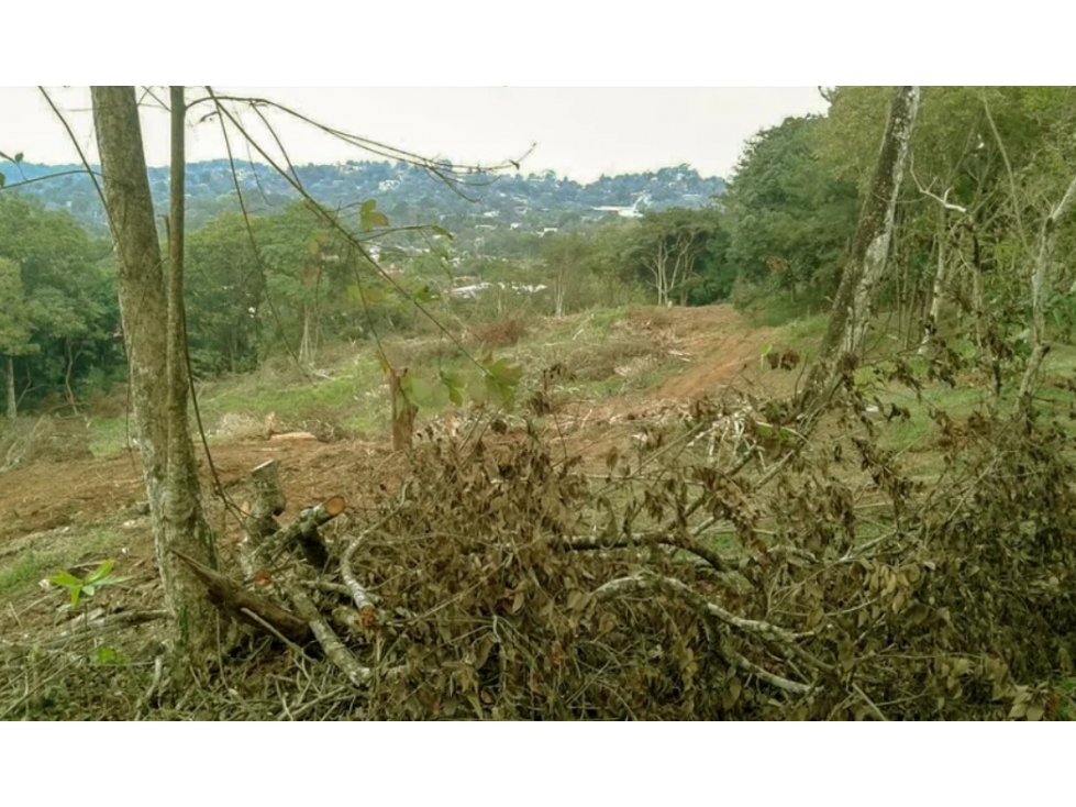 Se Vende Terreno Comercial de 40,242m2 en Via Transistmica — foto 5