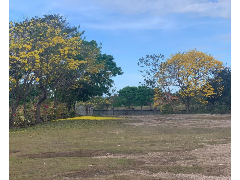 Se Vende Terreno de 32000M2 en Santa Clara sobre Via Panamericana - 1