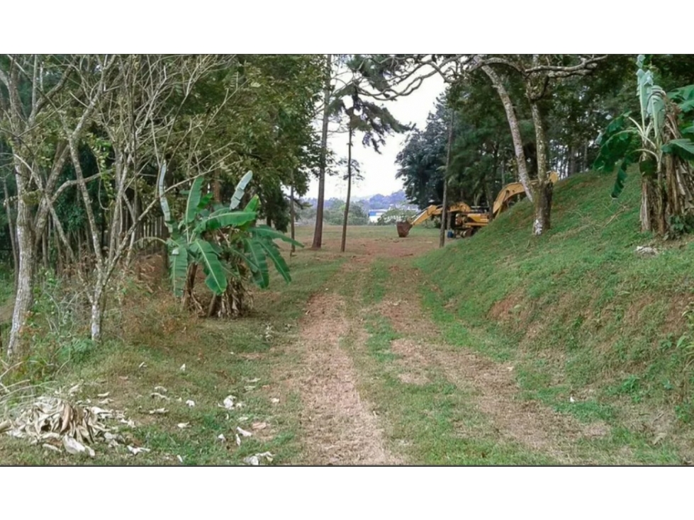 Se Vende Terreno Comercial de 40,242m2 en Via Transistmica — foto 6