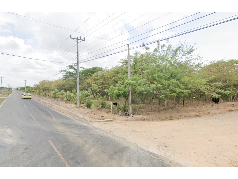 Se Vende Terreno de 62,000M2 en la Via a Playa Blanca - 6