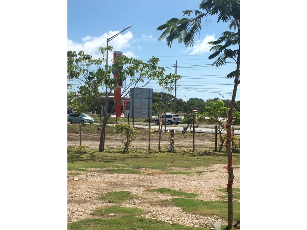 Se Vende Terreno de 32000M2 en Santa Clara sobre Via Panamericana - 2