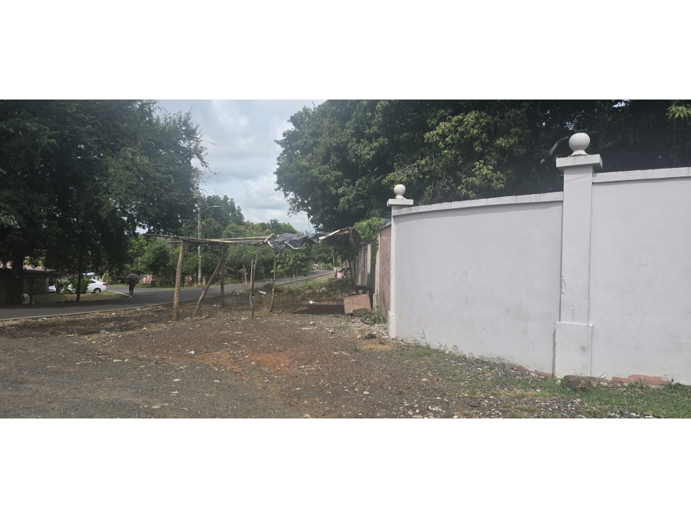 Se Vende Terreno de 28000M2 en el Coco de la Chorrera - 2