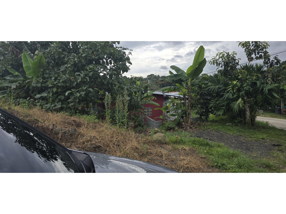 Se Vende Terreno de 63,883M2 en Panamá Norte para Proyecto Residencial — foto 3