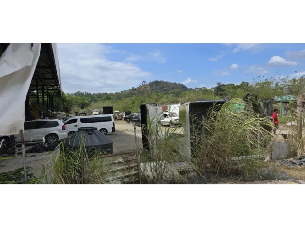 Se Vende Terreno de 1 Hectárea Via Transístmica-San Vicente — foto 4