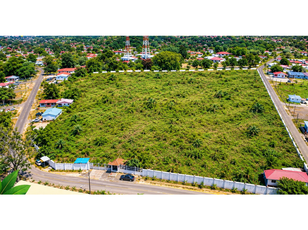 Se Vende Terreno de 28000M2 en el Coco de la Chorrera - 1