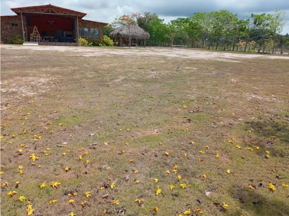 Se Vende Terreno de 32000M2 en Santa Clara sobre Via Panamericana - 5