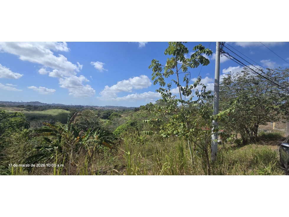 Se Vende Terreno de 63,883M2 en Panamá Norte para Proyecto Residencial — foto 4