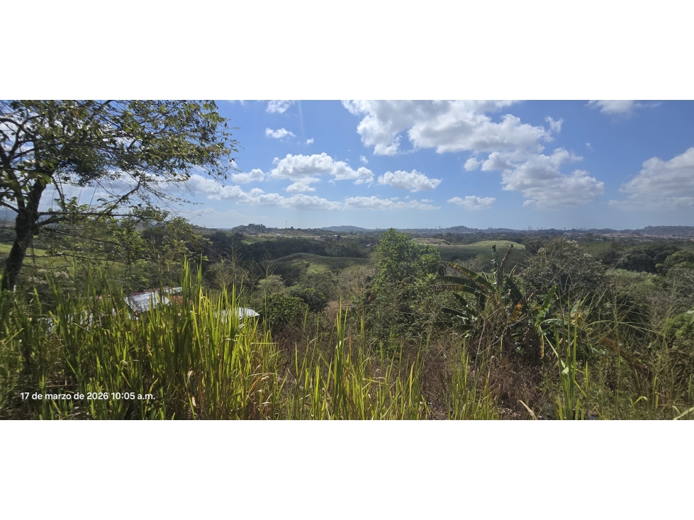 Se Vende Terreno de 63,883M2 en Panamá Norte para Proyecto Residencial — foto 5