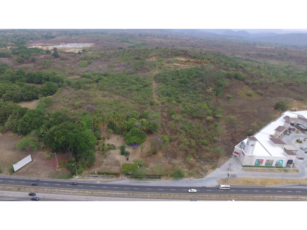 Venta Terreno de 69 Has en Las Lajas con acceso a la Interamericana — foto 2