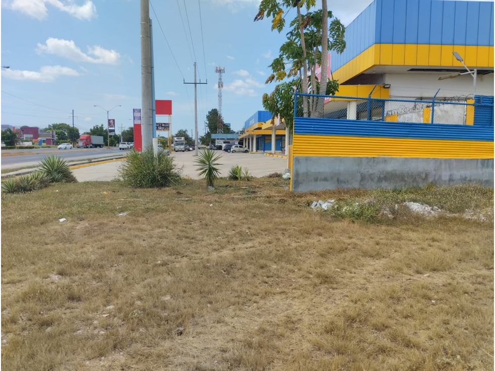 Se Vende Terreno de 12,542M2 sobre la Vía Interamericana en Aguadulce - 2