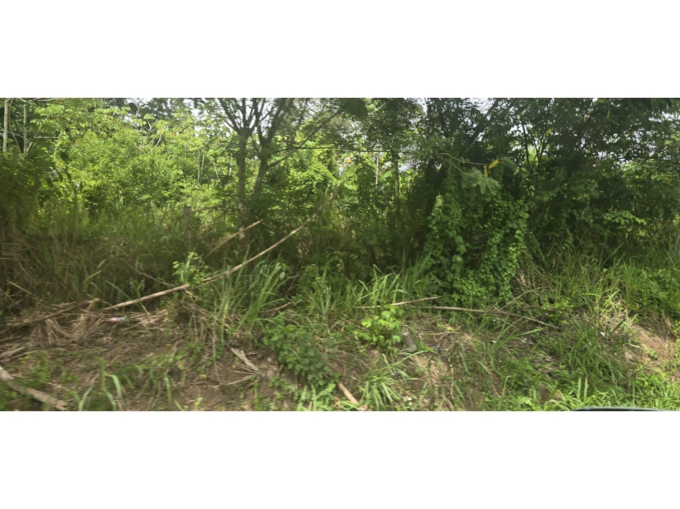 Se Vende Terreno de 28000M2 en el Coco de la Chorrera - 6
